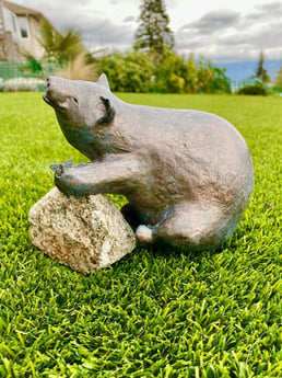 Karin Taylor - Rock Bear